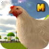 Crazy Chicken 3d