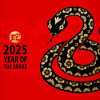Year of the Snake